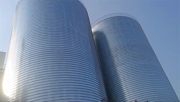 上蔡2座混凝土高架卷板仓